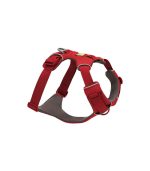 Producto miauricio muestra - Imagen 3