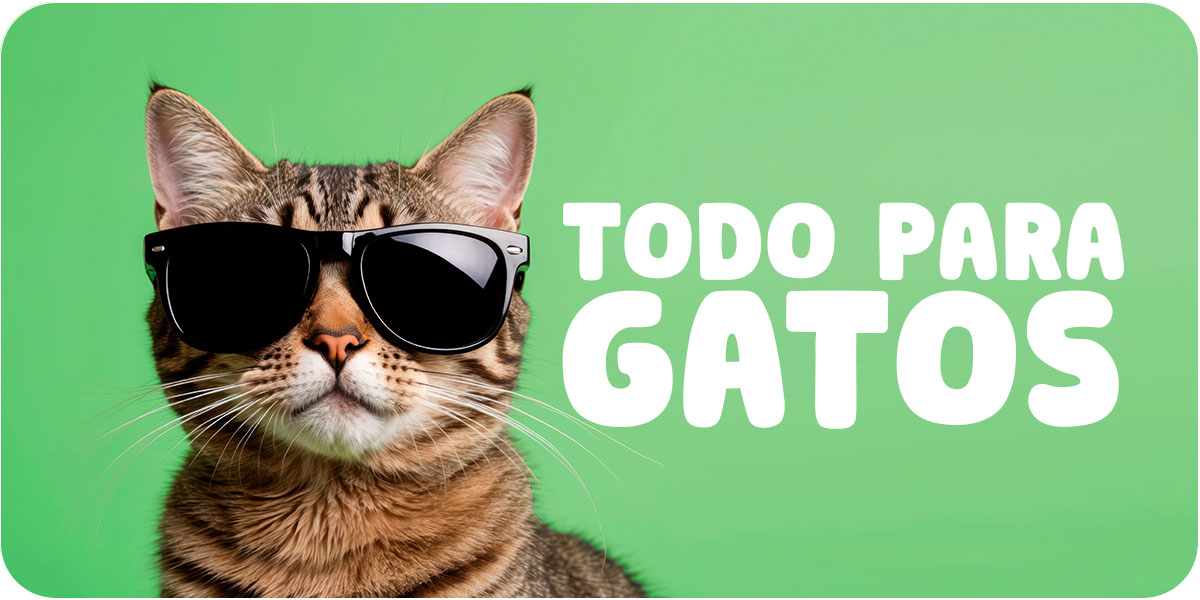 gatos