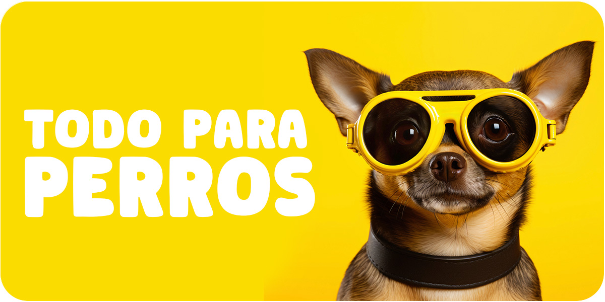 perros-miauricio
